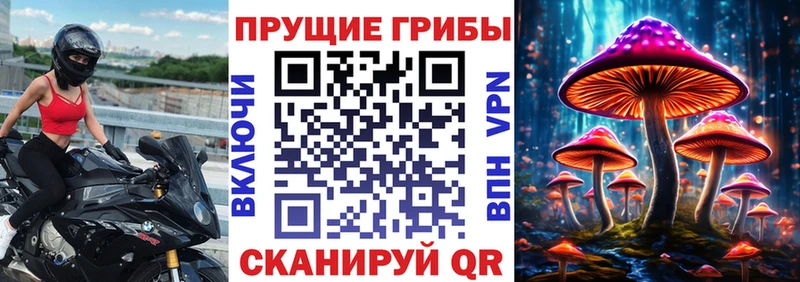 Псилоцибиновые грибы мицелий  купить  цена  даркнет официальный сайт  Ивантеевка 