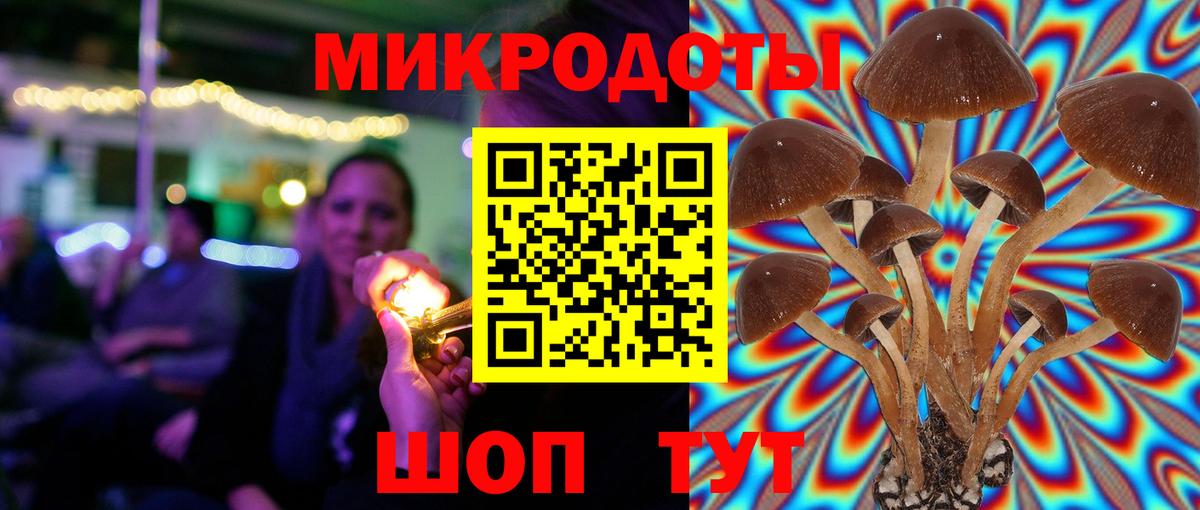 Ивантеевка  Галлюциногенные грибы Cubensis  Вход с VPN 